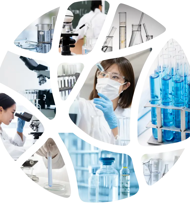 研究している様子